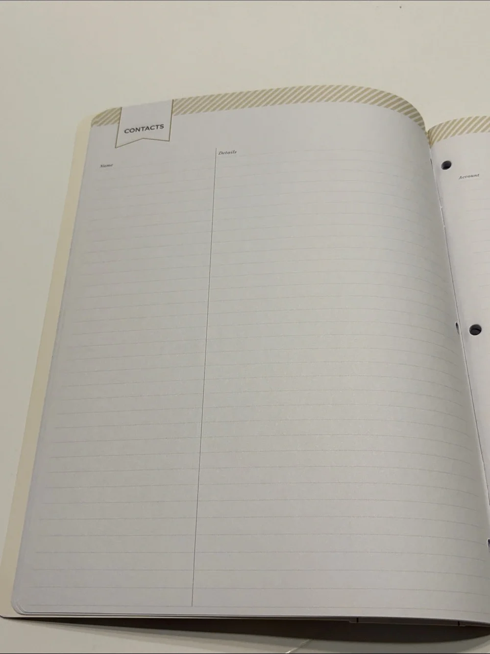 Blue Sky Day Designer 2026-2027 Monthly Deluxe Planner in Marjorie Floral Clear
